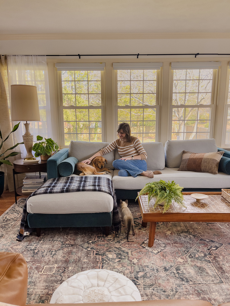 How To Protect Your Couch From Pets