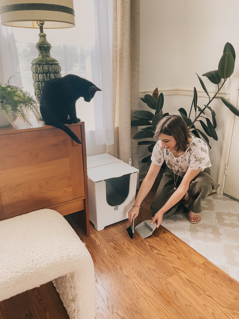 Modern Cat Litter Box Review