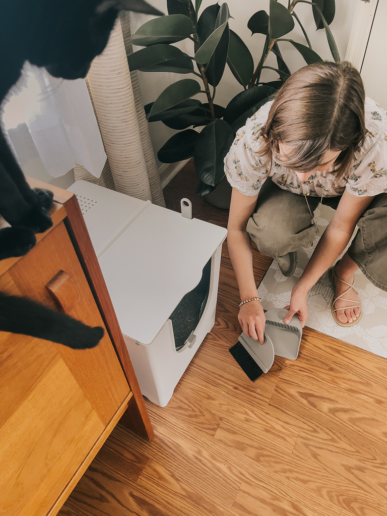 Modern Cat Litter Box Review