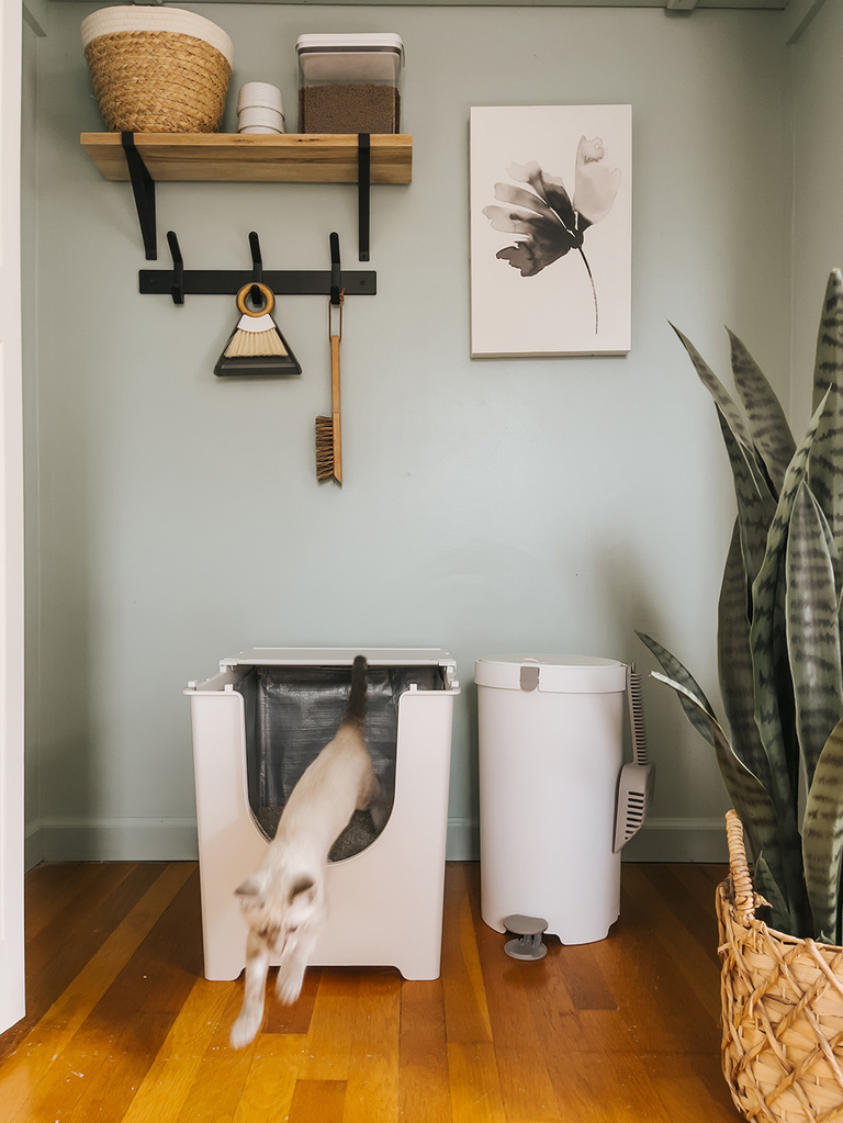 Modern Cat Litter Box Review