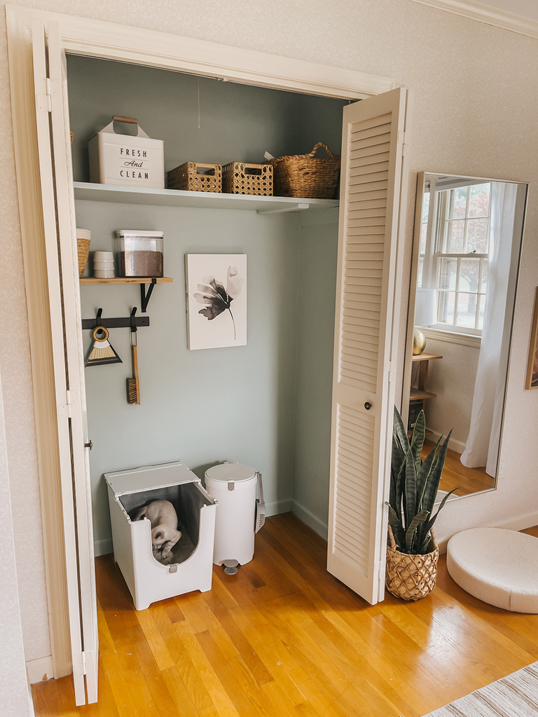 Modern Cat Litter Box Review