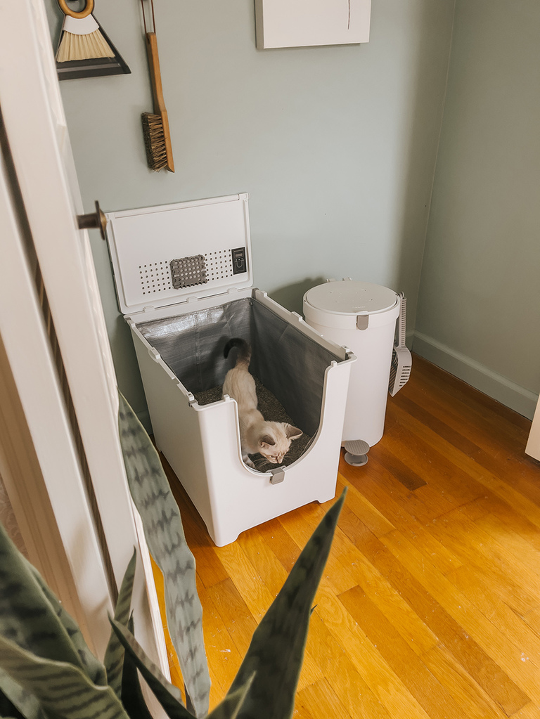 Modern Cat Litter Box Review