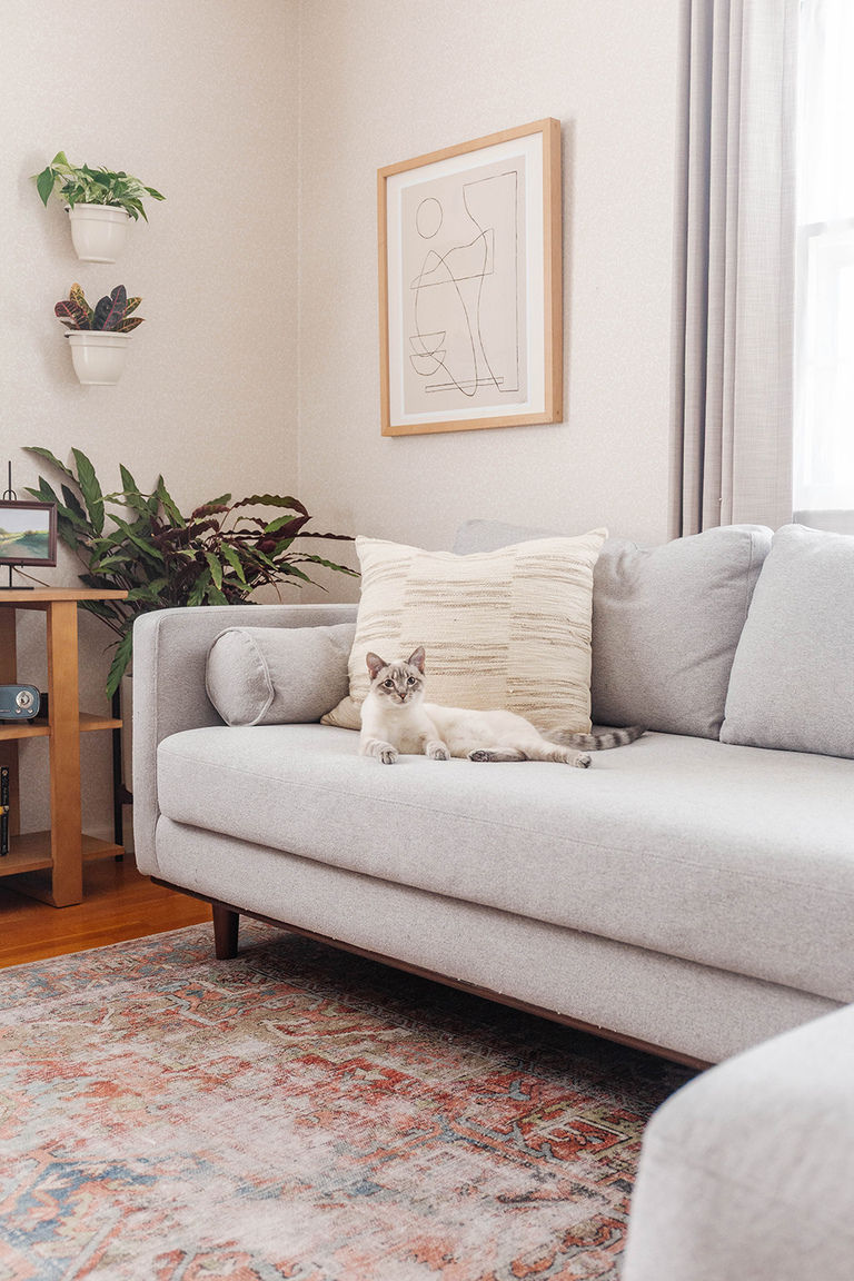 Colorful Modern Lounge Living Room Home Décor Inspiration