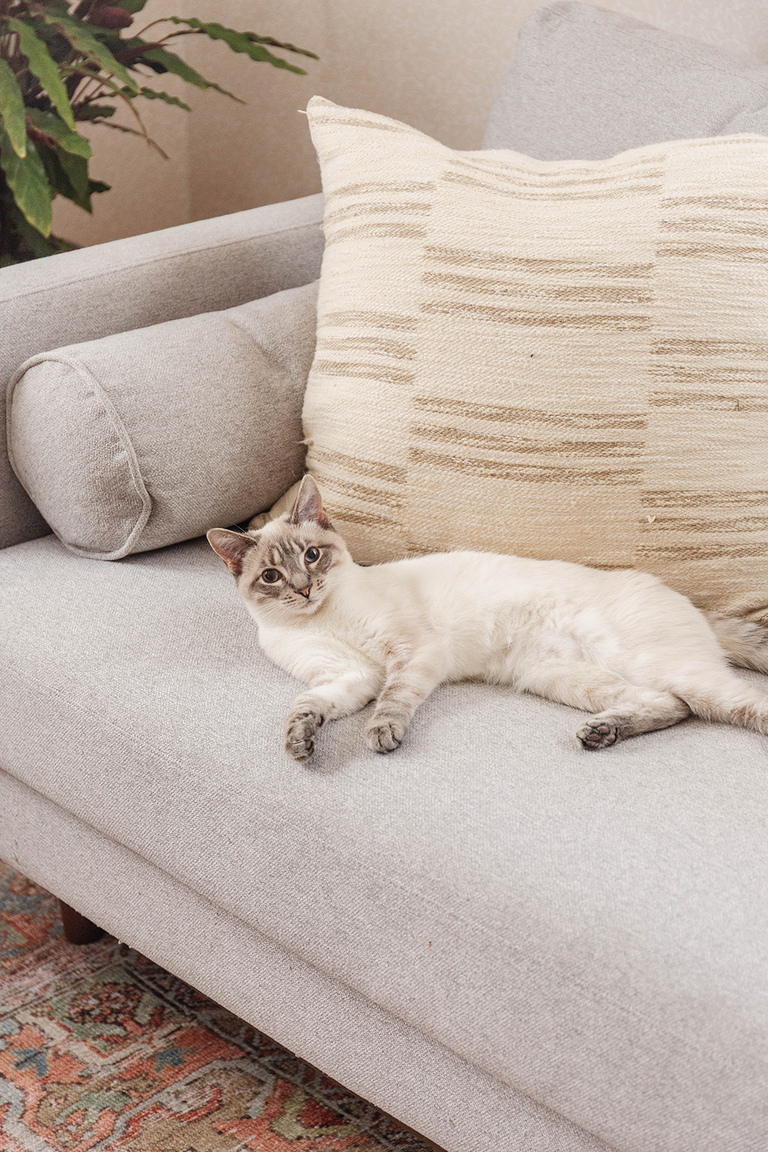 Colorful Modern Lounge Living Room Home Décor Inspiration