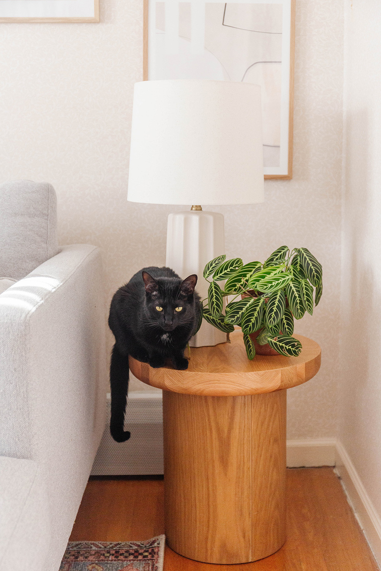 Colorful Modern Lounge Living Room Home Décor Inspiration