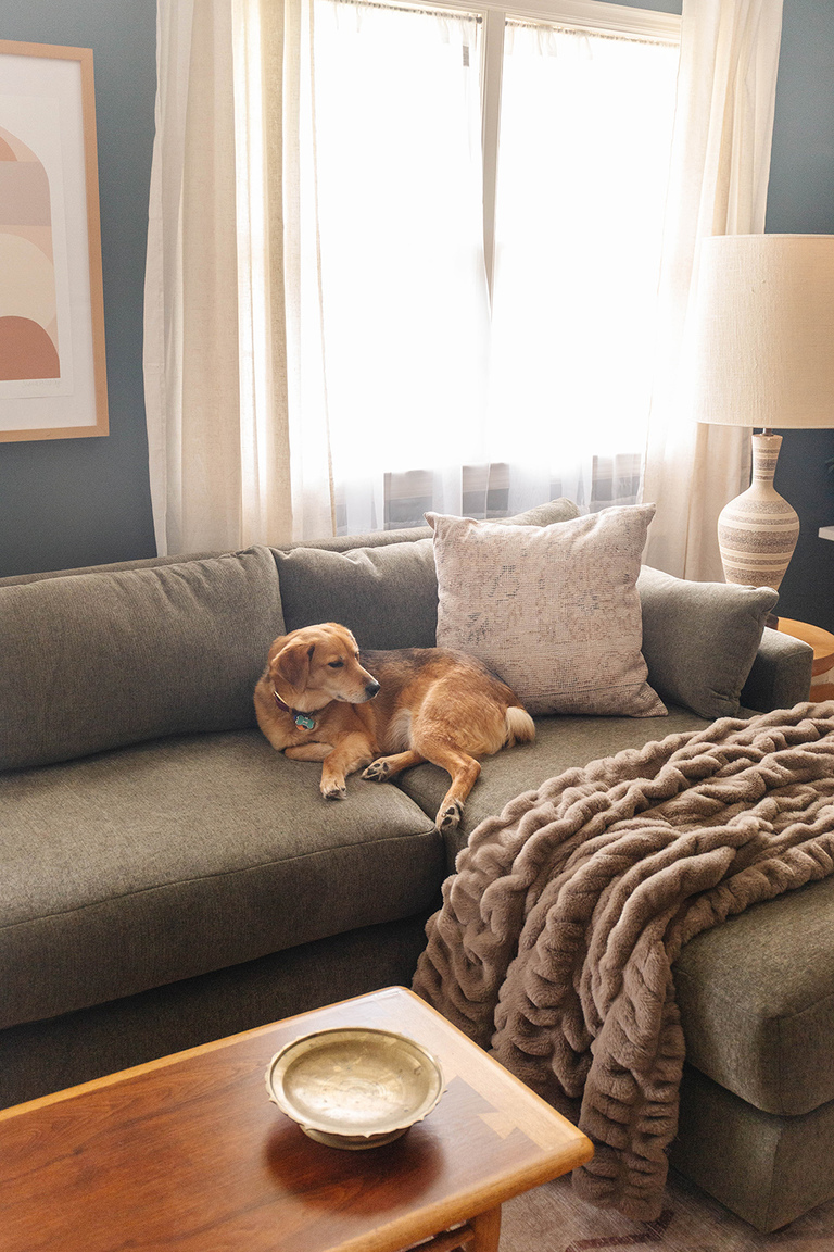 Burrow Span Sleeper Sofa Review