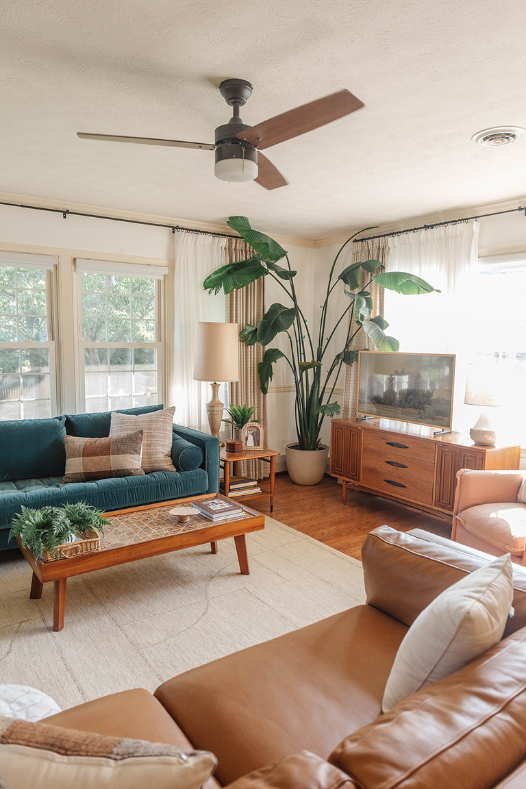 Easy Houseplants Plus Their Care Tips