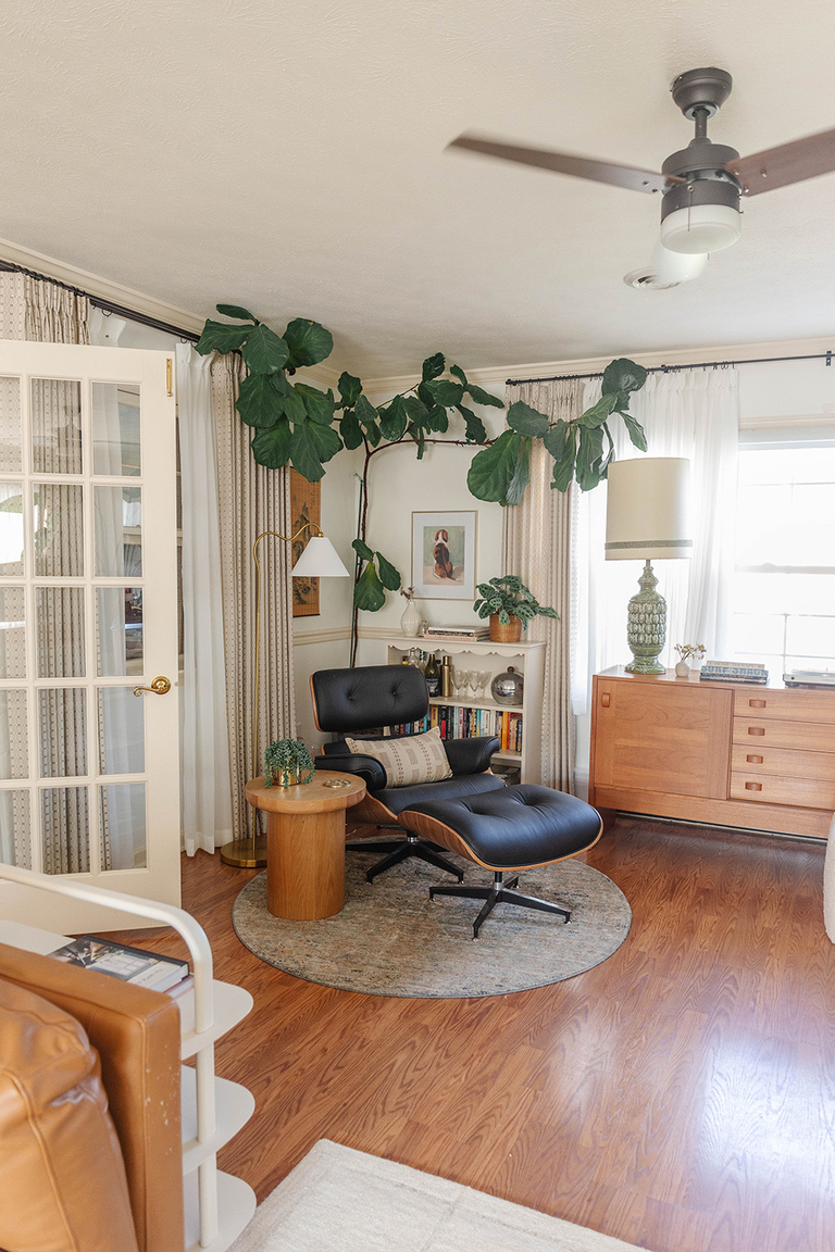 Easy Houseplants Plus Their Care Tips