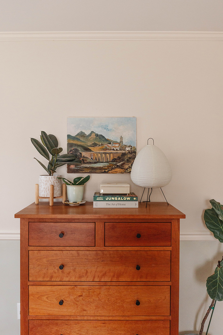 Easy Houseplants Plus Their Care Tips