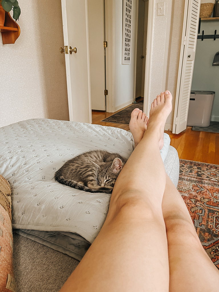 1 Month With Our Rescue Kitten Stanley