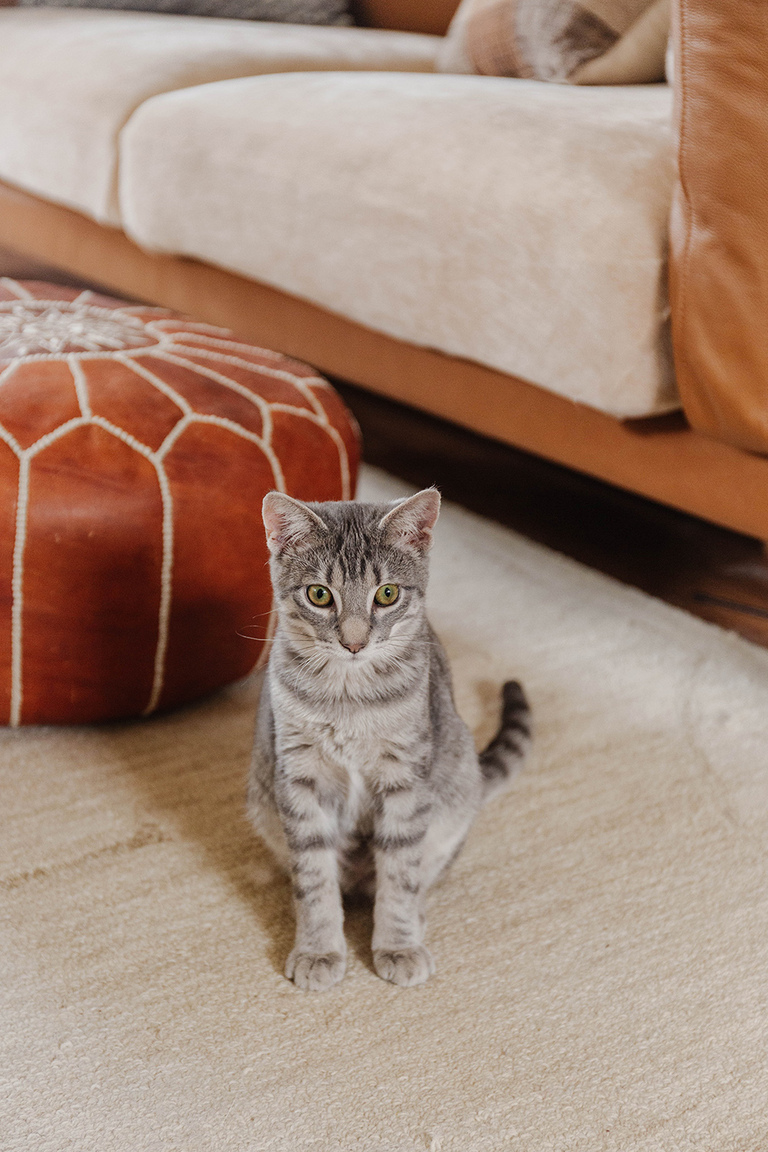 Easy Living Room Fall Decorating Ideas