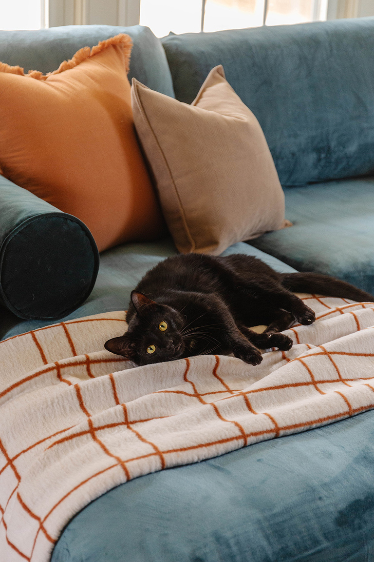 Easy Living Room Fall Decorating Ideas