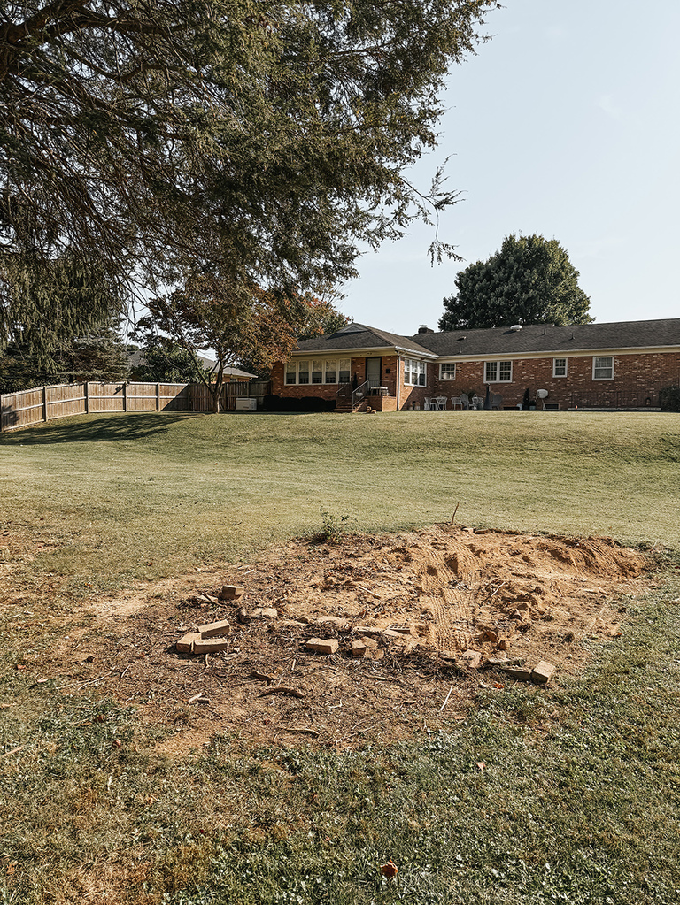 How To Safely Take Down An Old Shed