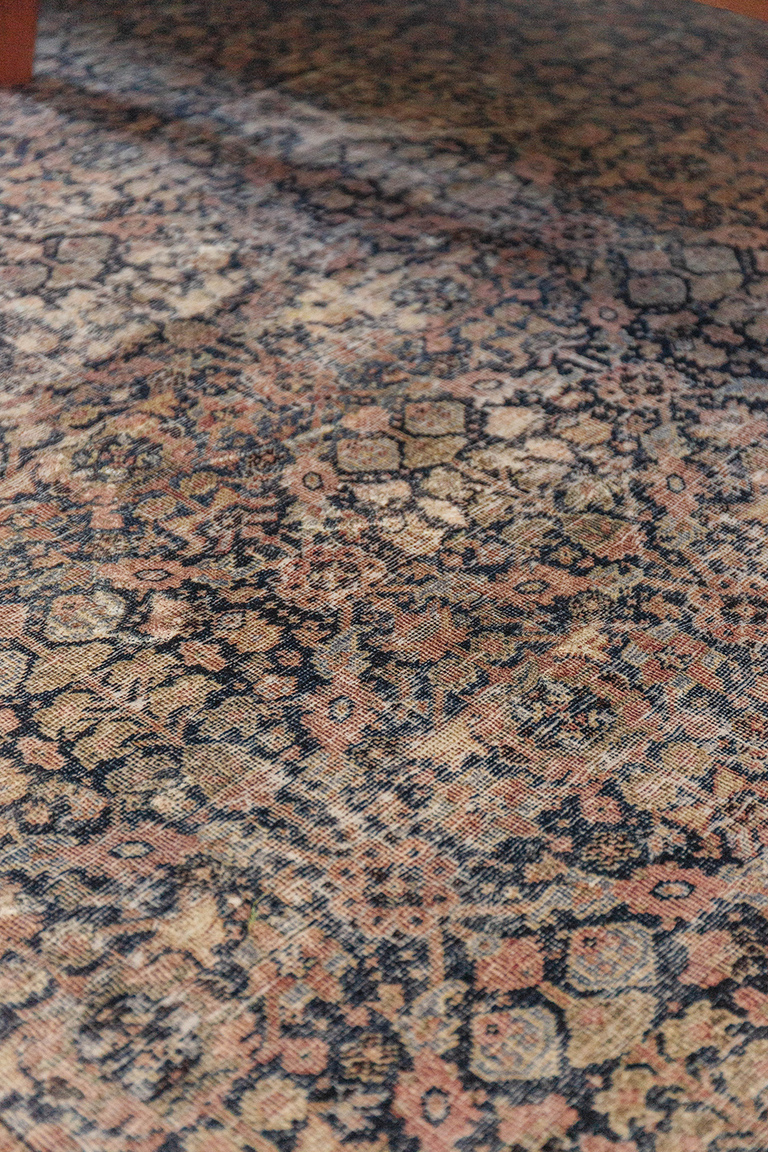 Three New Loloi Area Rugs To Love