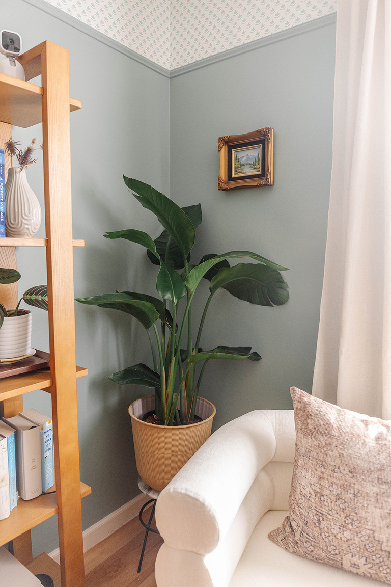 Eureka Ergonomic Rolling Desk Chair Review