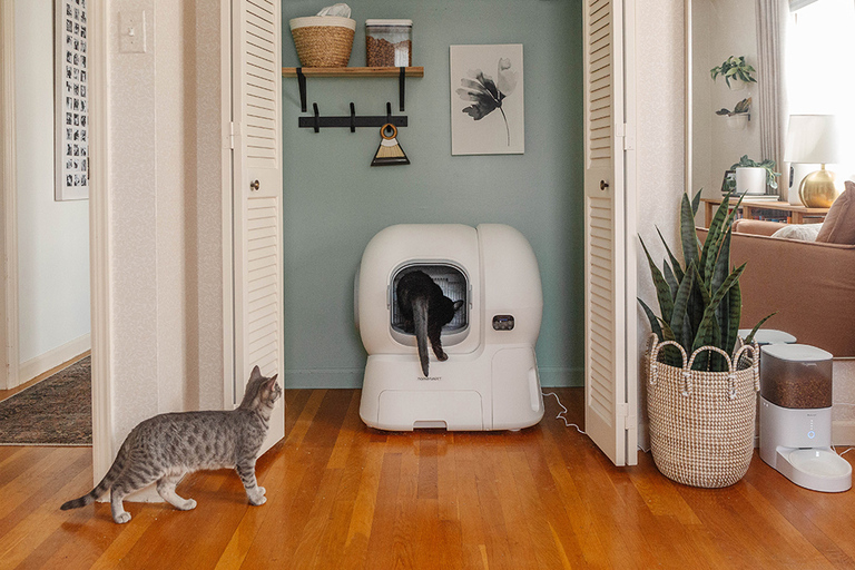 homerunPET Smart Cat Litter Box Review