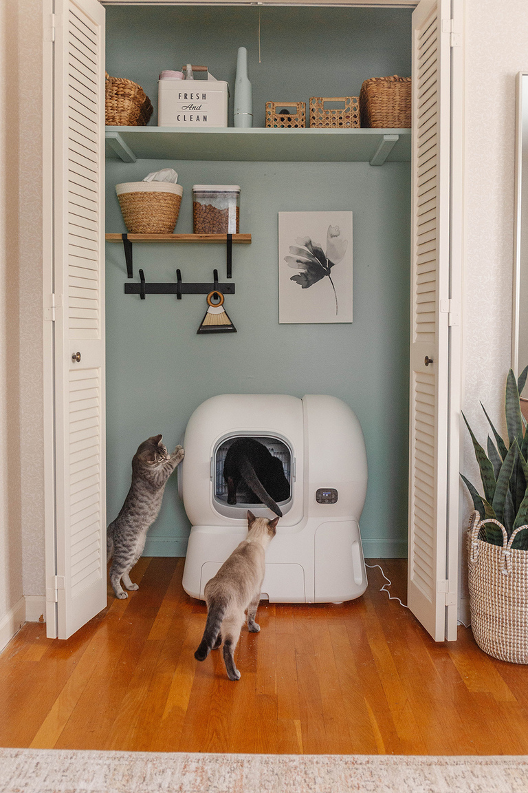 homerunPET Smart Cat Litter Box Review