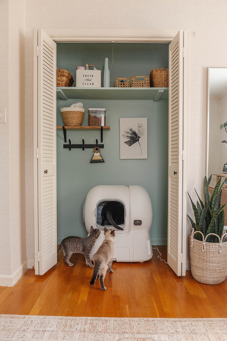 homerunPET Smart Cat Litter Box Review