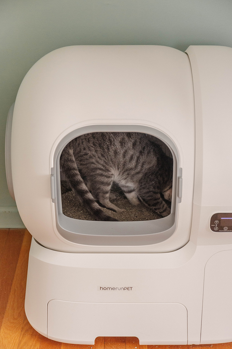 homerunPET Smart Cat Litter Box Review