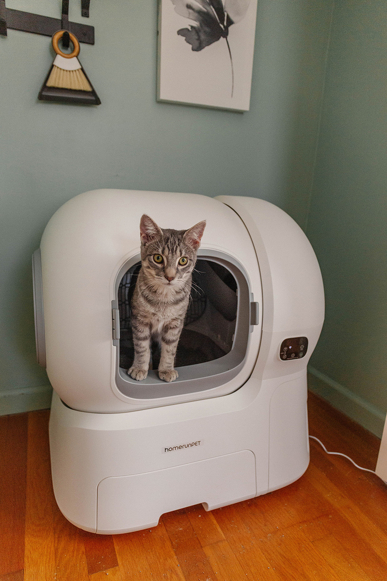 homerunPET Smart Cat Litter Box Review