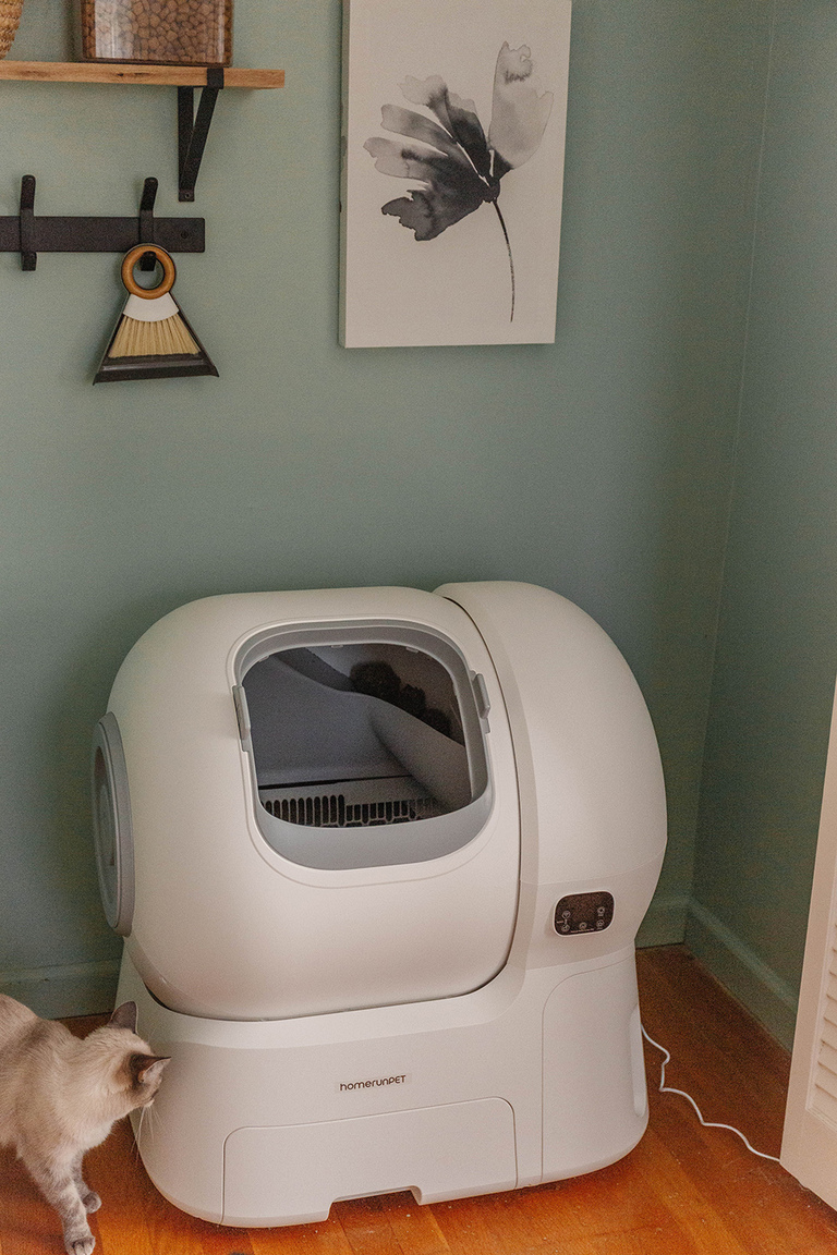 homerunPET Smart Cat Litter Box Review