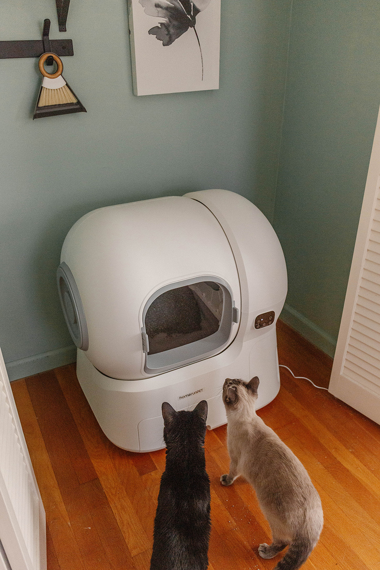 homerunPET Smart Cat Litter Box Review