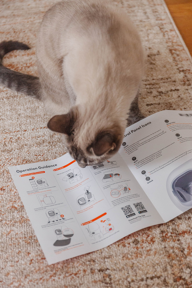 homerunPET Smart Cat Litter Box Review