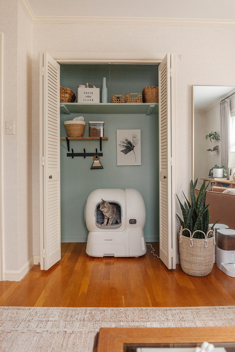 homerunPET Smart Cat Litter Box Review