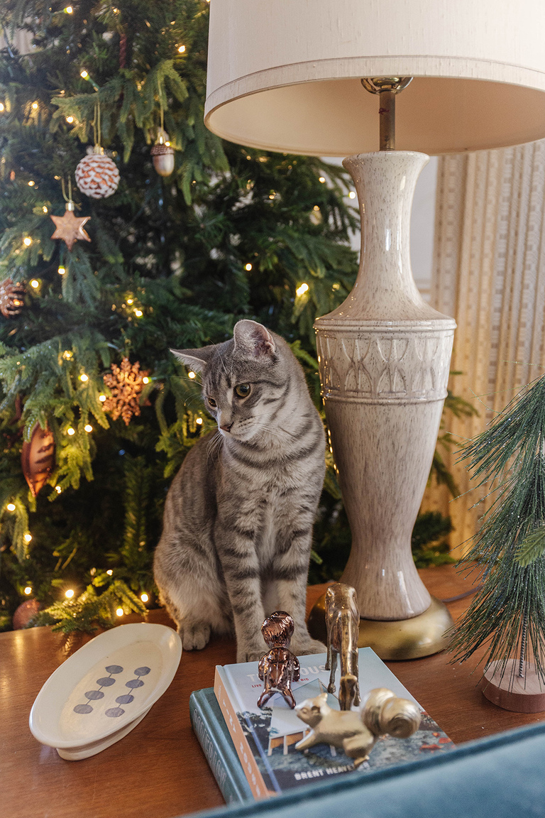 Easy Cat-Friendly Christmas Décor Tips