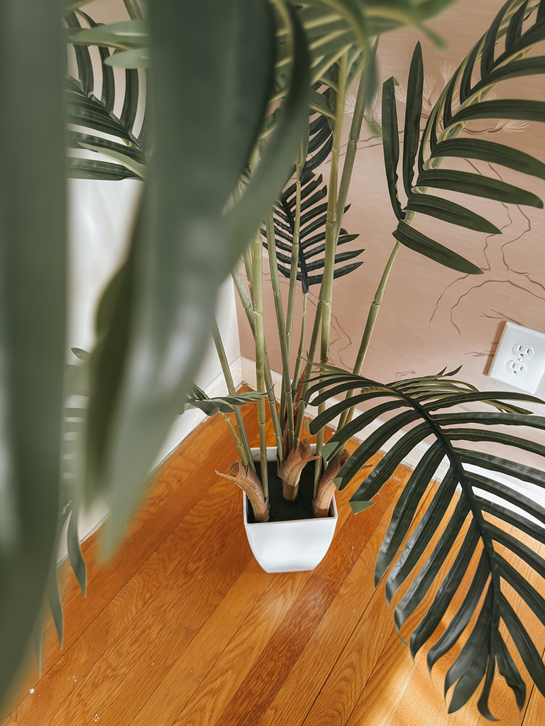 Two Believable Faux Floor Plants To Consider