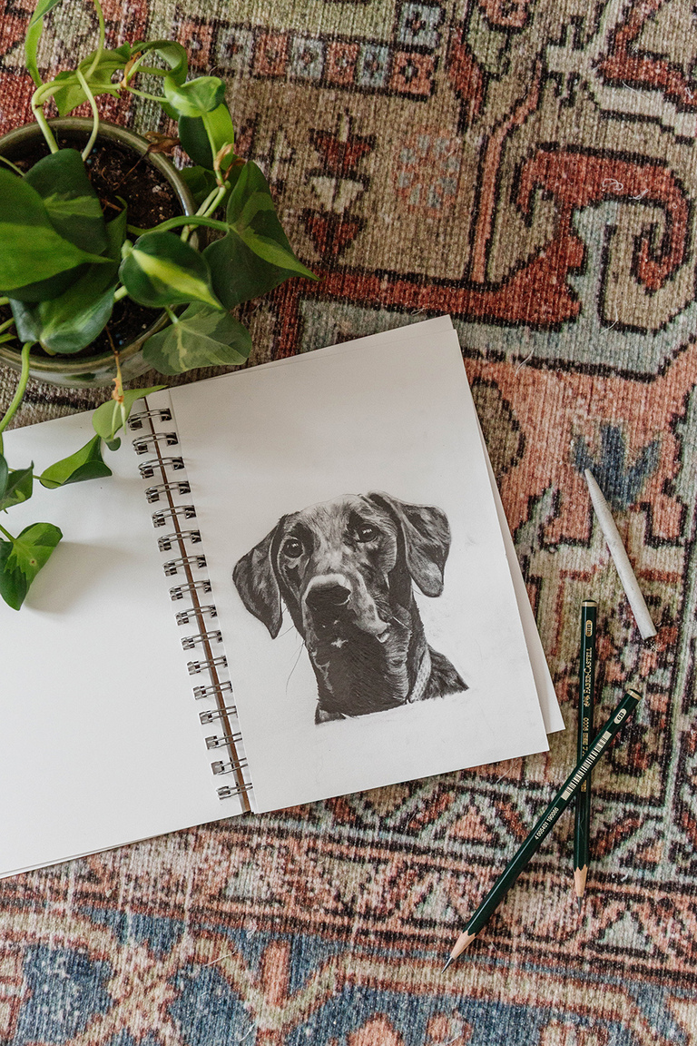 Custom Hand-Drawn Miniature Pet Portraits