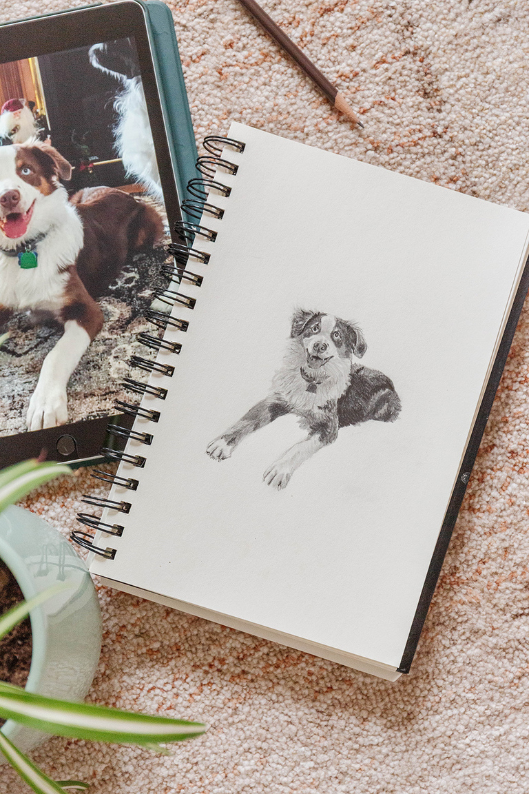 Custom Hand-Drawn Miniature Pet Portraits