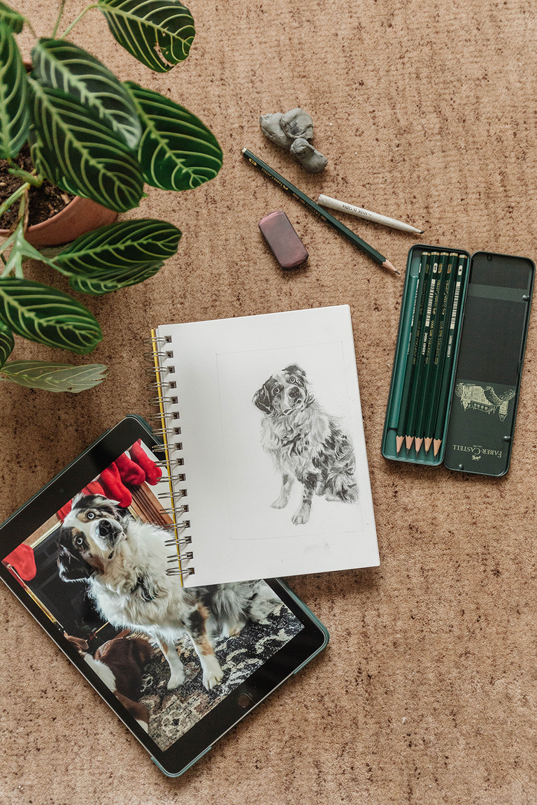 Custom Hand-Drawn Miniature Pet Portraits