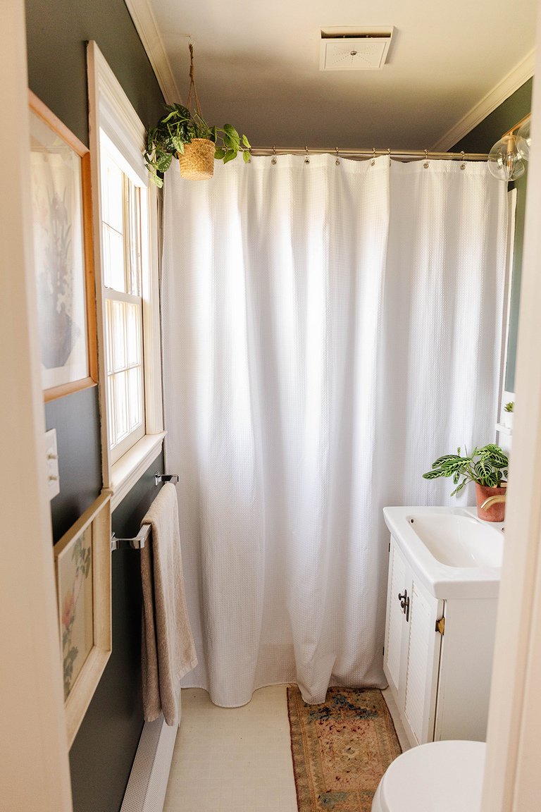 Bold And Moody Bathroom Makeover Tour