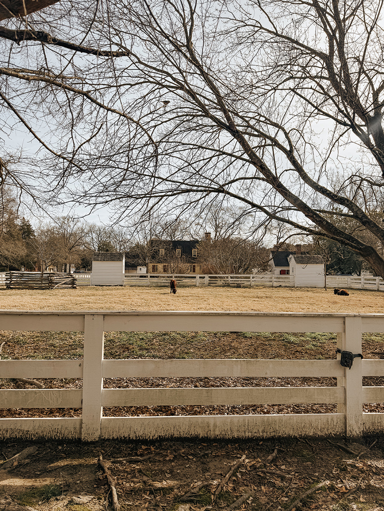 Easy Microwave-Friendly In-Room Motel Dinner