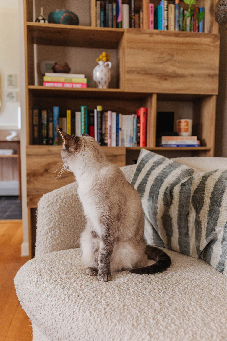 Styling A Dedicated TBR Book Nook Shelf