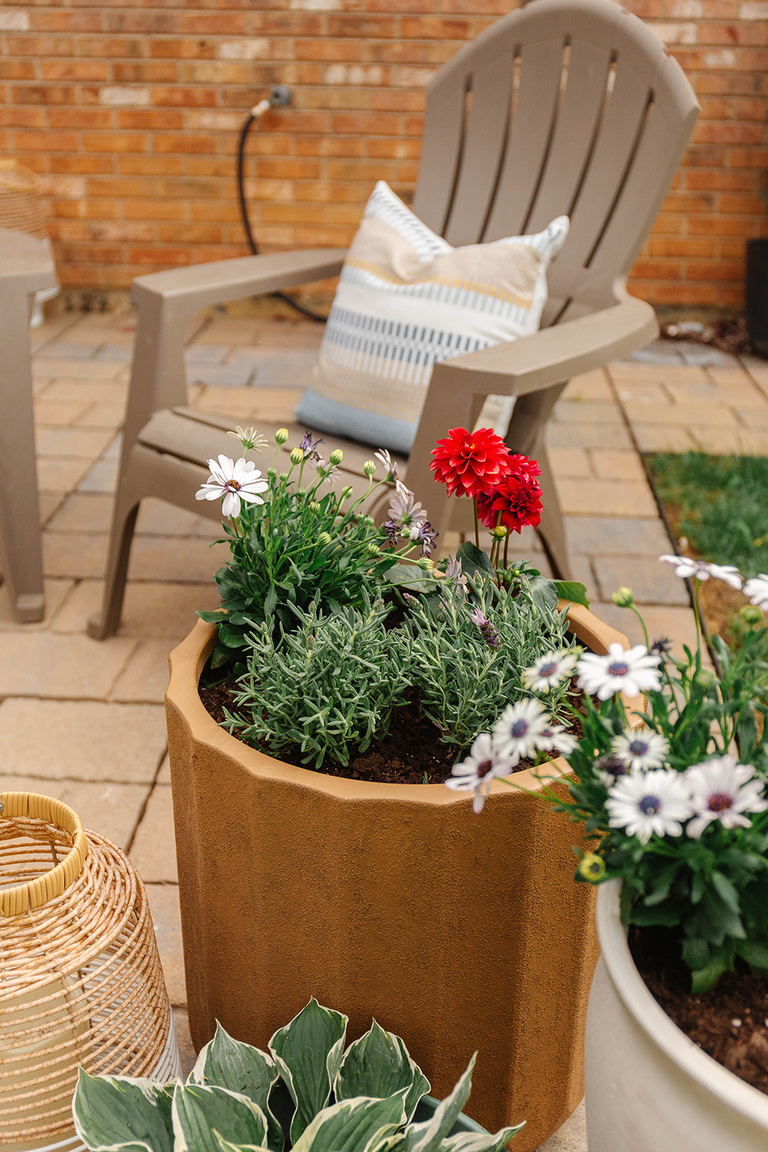 Colorful Patio Refresh Using Potted Plants