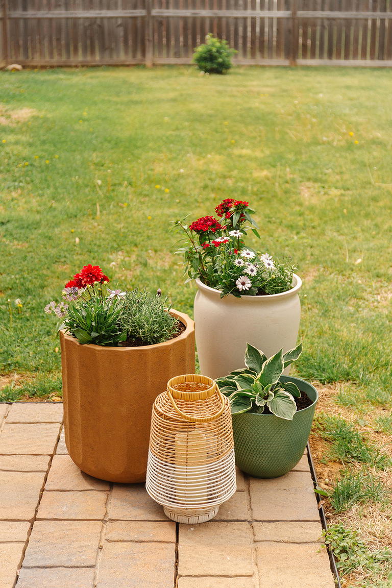 Colorful Patio Refresh Using Potted Plants