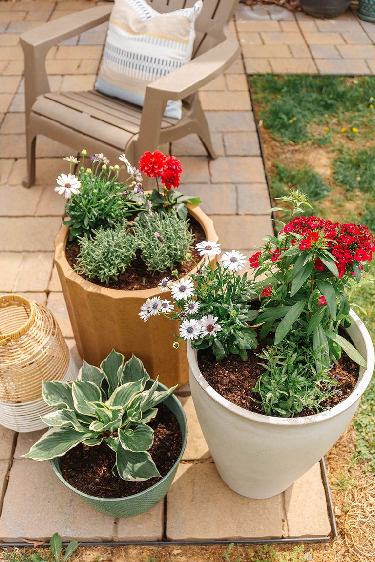Colorful Patio Refresh Using Potted Plants