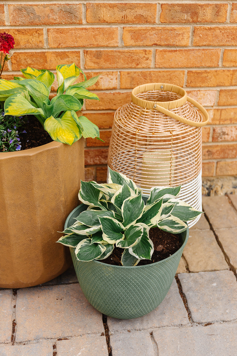 Colorful Patio Refresh Using Potted Plants