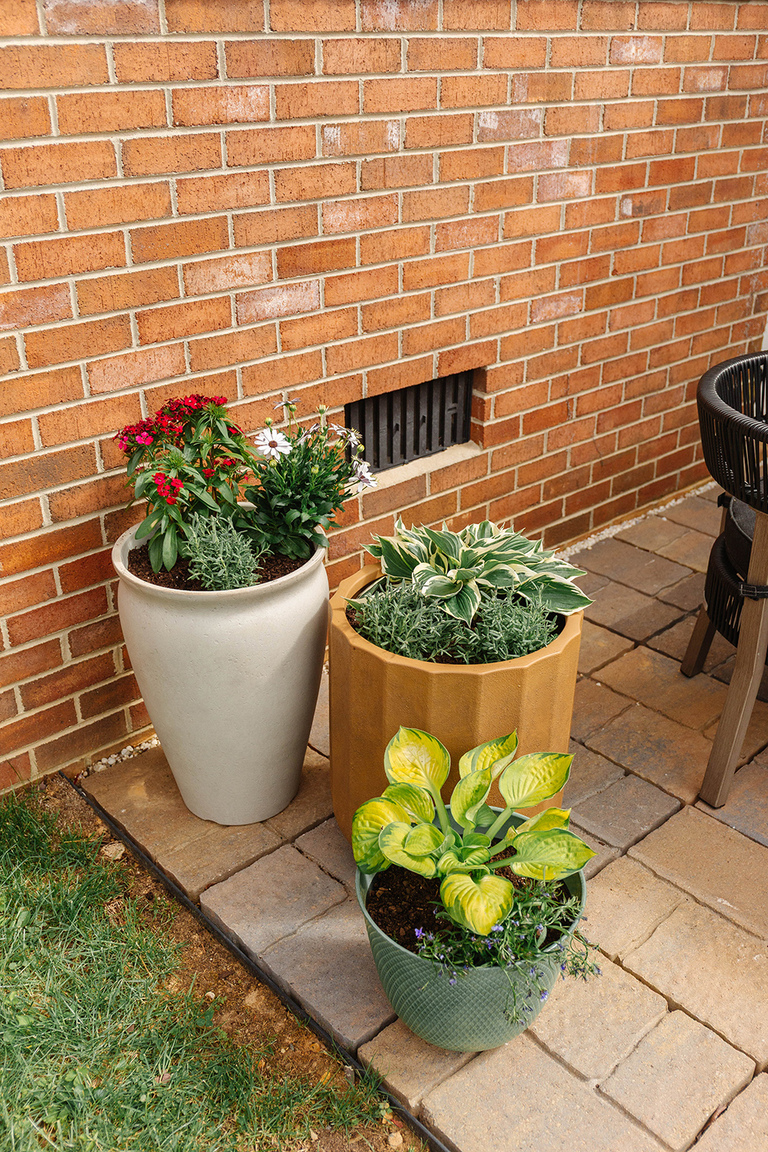 Colorful Patio Refresh Using Potted Plants